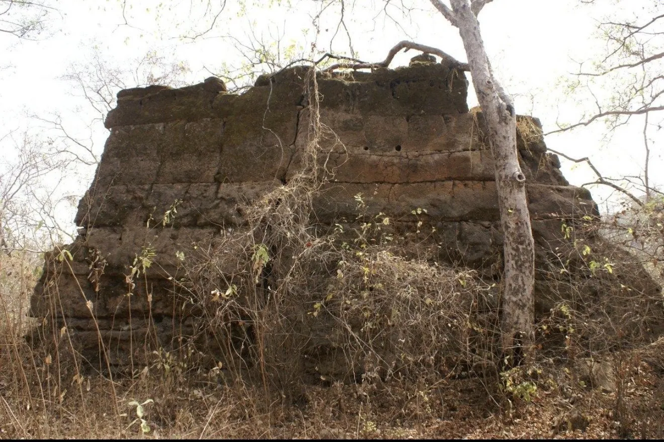 Old Oyo National Park Emerges as Top Eco-Tourism Destination in Nigeria