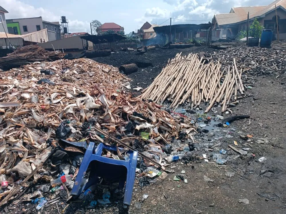 Anambra Government Threatens to Shut Down Unsanitary Abattoirs
