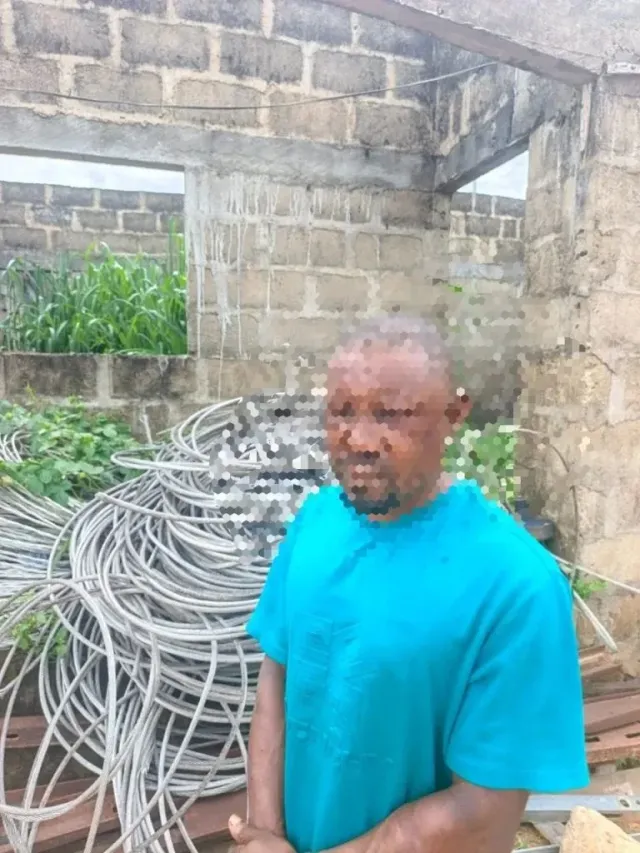 Police Arrest Two Suspected Cable Vandals in Delta, Recover Stolen Electric Cables