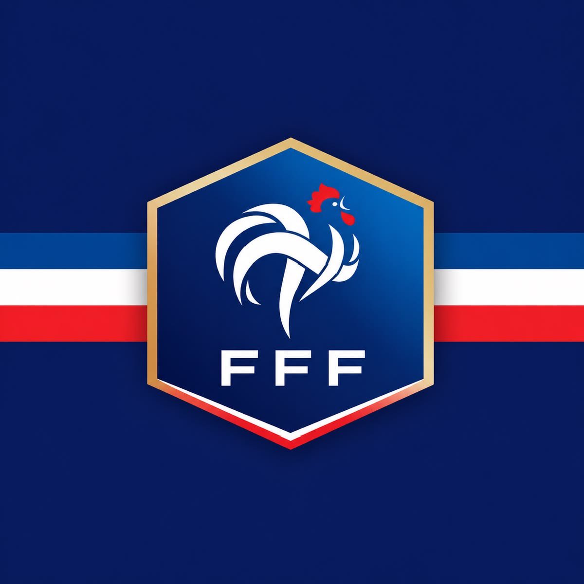 JUST IN: Zinedine Zidane has been officially appointed as the new head coach of the French national team.